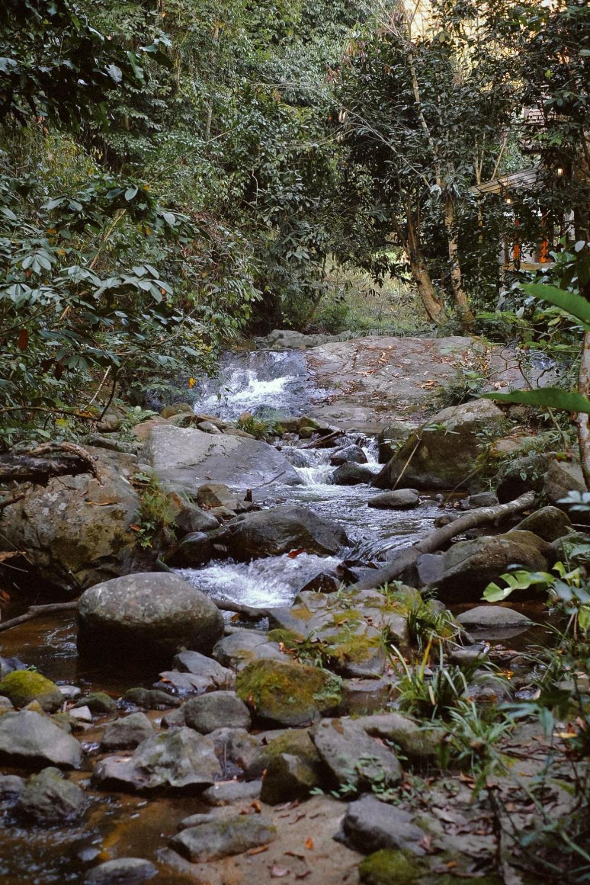 Bee Forest Hotel Ban Pok Nai Exterior photo